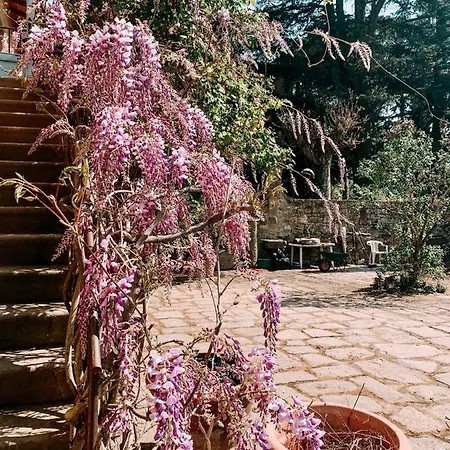 Casale Gli Ulivi Апартаменты *